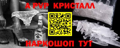 бошки Кингисепп