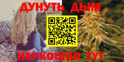 бошки Кингисепп