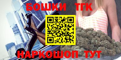 бошки Кингисепп