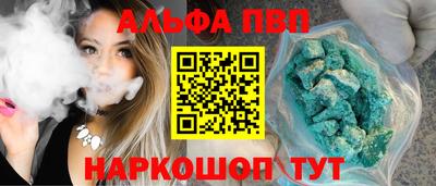 бошки Кингисепп