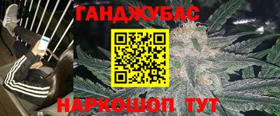 бошки Кингисепп