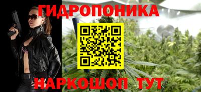бошки Кингисепп