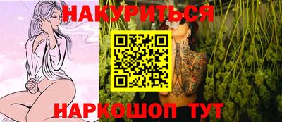бошки Кингисепп