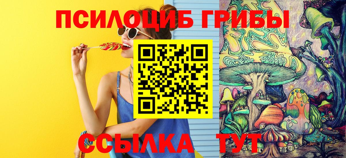 Кострома  где купить   Вход с VPN  Галлюциногенные грибы мицелий 